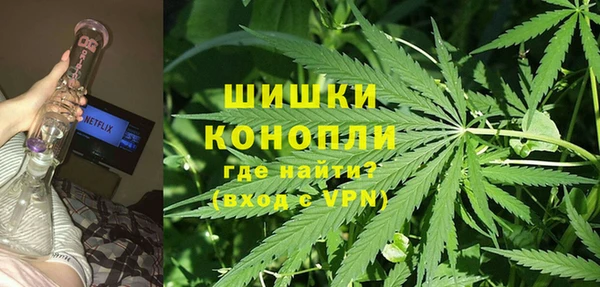 PSILOCYBIN Пролетарск