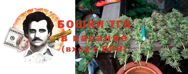 PSILOCYBIN Пролетарск