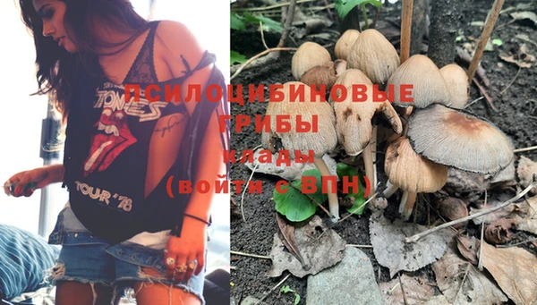 гидра Заполярный