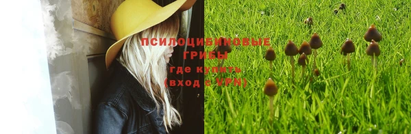 PSILOCYBIN Пролетарск