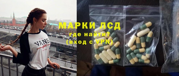 гидра Заполярный