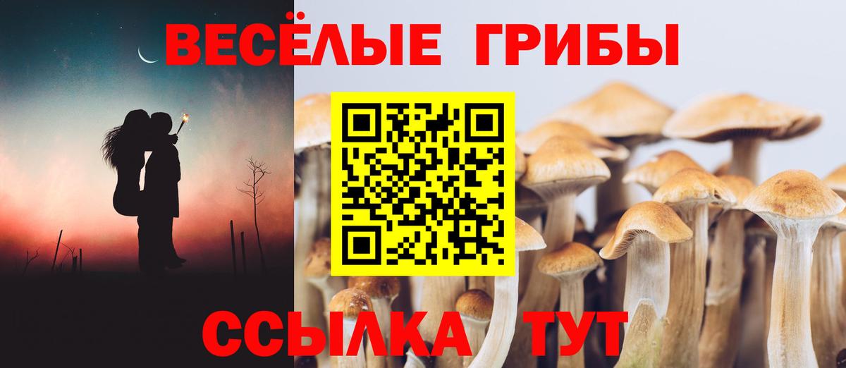 Псилоцибиновые грибы GOLDEN TEACHER Сочи