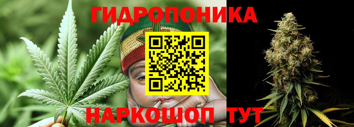 Каннабис White Widow  Бошки Шишки AK-47  Сочи  Вход с VPN  Канабис THC 21%  Бошки марихуана THC 21% 