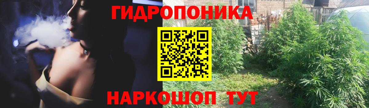 Шишки марихуана планчик Сочи